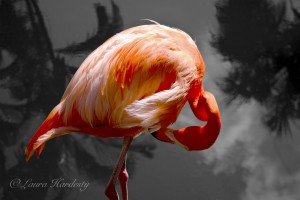 Deco Flamingo