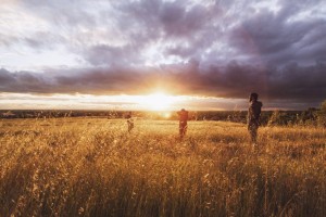 Three in a Field