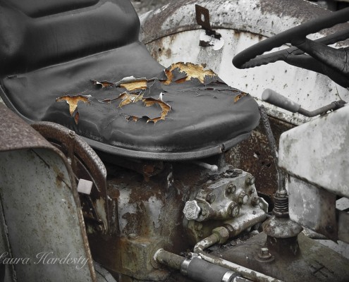 Tractor Seat photo by Laura Hardesty